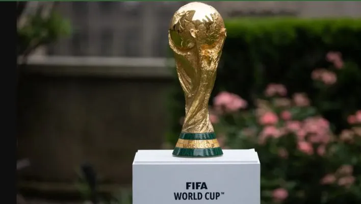 the first world cup trophy as a fact about soccer